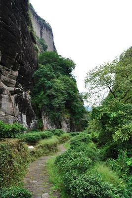 游武夷 虎嘯巖 隱屏峰 玉華峰 天游峰 大紅袍