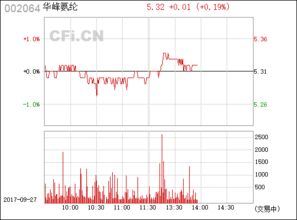 華峰氨綸（002064） 中國氨綸行業的領軍企業